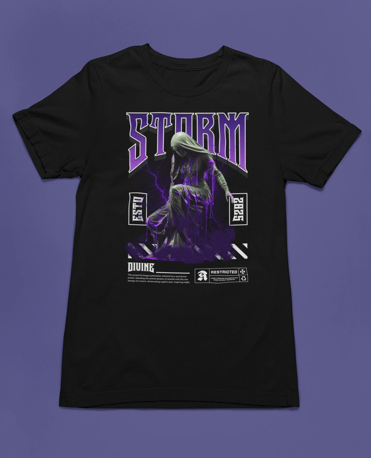 Storm Divine – Carved in Lightning | Göttliches Kunst- & Streetwear-T-Shirt – schwarz T-Shirt als flatlay-Mockup, modernes Gaming-Design und hochwertiges Produktfoto.